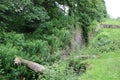 Monmouthshire to brecon canal 14 locks