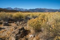 Autumn at Mono Lake, California