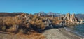 Mono Basin fall colors. Mono Lake Tufa State Natural Reserve, California.