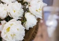 The beautiful bouquet of lush white peonies in woman`s hands Royalty Free Stock Photo