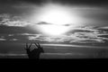 Mono common elands stand silhouetted at sunset Royalty Free Stock Photo