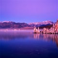 Mono Lake Royalty Free Stock Photo