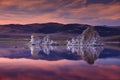 Mono Lake Royalty Free Stock Photo