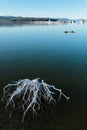 Mono Lake Royalty Free Stock Photo