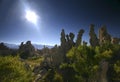 Mono Lake