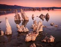 Mono Lake California Royalty Free Stock Photo