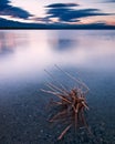 Mono Lake California