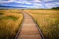 Mono Lake Catwalk