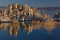 Mono Lake Reflections Royalty Free Stock Photo