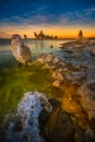 Mono Lake South Tufa after Sunset Vertical Composition Royalty Free Stock Photo