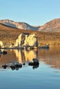 Mono Lake stalagmites of the Tufa at sunset. Royalty Free Stock Photo