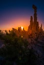 Mono Lake Sunrise Royalty Free Stock Photo