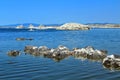 Mono Lake with Tufa Formations near Lee Vining, California, USA Royalty Free Stock Photo