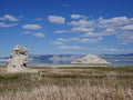 Mono lake tufa view Royalty Free Stock Photo