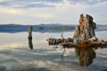 Mono Lake Tufas Royalty Free Stock Photo