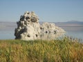 Mono lake Royalty Free Stock Photo