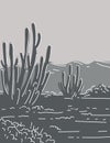Organ Pipe Cactus National Monument in Arizona Monoline Line Art Grayscale Drawing