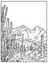 Organ Pipe Cactus National Monument in the Sonoran Desert located in extreme southern Arizona United States Mono Line or Monoline