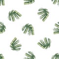 Mono print style scattered leaves seamless vector pattern background. Textured cut out grunge foliage green white Royalty Free Stock Photo