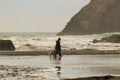 Monochomatic view of turbulent ocean and giant rocks with unrecognizable woman in rainboots and golden retriever dog walking on we