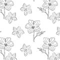 Monochome flower California Poppy seamless pattern