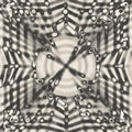 Monochromatic abstract bokeh overlay texture. Royalty Free Stock Photo