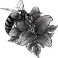 monochromatic Bee with flowers engraving style isolate on white background Royalty Free Stock Photo