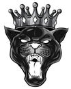 Monochromatic Black panther with crown on his head and open mouth, on white background Royalty Free Stock Photo