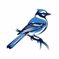 Monochromatic Blue Jay Logo: Detailed Character Illustrations And Crisp Graphic Design