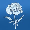 Monochromatic Carnation Flower Drawing On A Blue Background