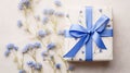 Monochromatic Cottagecore Present Box With Blue Ribbon And Wild Flowers