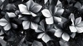 A monochromatic floral design featuring stylized flowers and geometric shapes Royalty Free Stock Photo