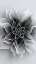 Monochromatic flower design in gray and light cream, perfect for artistic backgrounds and projects. Royalty Free Stock Photo
