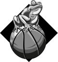 monochromatic Frog mascotte on a basket ball vector illustration Royalty Free Stock Photo