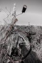 Monochromatic Image of An Old and Rusty Tin can and a Roll of Barbed Wire