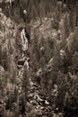 Sepia forest waterfall Royalty Free Stock Photo