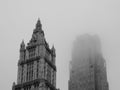 Monochromatic image of the Woolworth building and 99 Church Street.