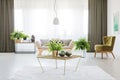 Monochromatic living room with ferns