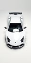 Monochromatic Minimalist Lamborghini: Meticulous Photorealistic Car Art