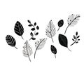 Monochromatic narratives: exploring the stories of grayscale foliage Royalty Free Stock Photo