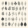 Monochromatic sketches: exploring the beauty of botanicals in grayscale Royalty Free Stock Photo