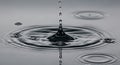Monochromatic Water Drop Impact: Ripples and Reflections in Stillness Royalty Free Stock Photo
