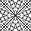 Monochrome Abstract Background radial mosaic lines in black and white, web streeps