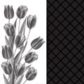 Monochrome abstract decoration, invitation card with glossy bouquet tulips