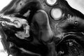 Monochrome abstract liquid macro with dramatic light and shadow, smooth gradients, and organic flow. Perfect for Royalty Free Stock Photo