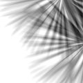 Monochrome abstract white template start background