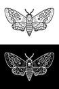 Monochrome acherontia atropos hawk moth doodle. Perfect print for tee, poster, card, sticker, banner. Hand drawn vector Royalty Free Stock Photo