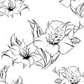 Monochrome alstroemeria floral seamless pattern texture background vector Royalty Free Stock Photo