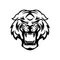 Monochrome angry tiger icon isolated on white background. Desig Royalty Free Stock Photo