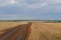 Monochrome autumn landscape. Cloudy sky, the boundless field. Open space, road, infinity